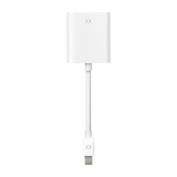 Apple Mini DisplayPort to VGA Adapter