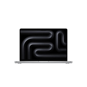 14-inch MacBook Pro: Apple M4 chip with 10-core CPU and 10-core GPU, 1TB SSD - Silver