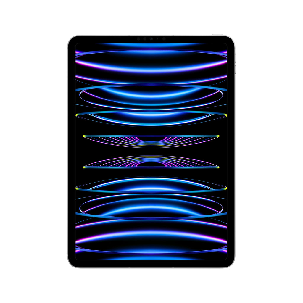 2022 11-inch iPad Pro Wi-Fi + Cellular 512GB - Silver (4th generation)