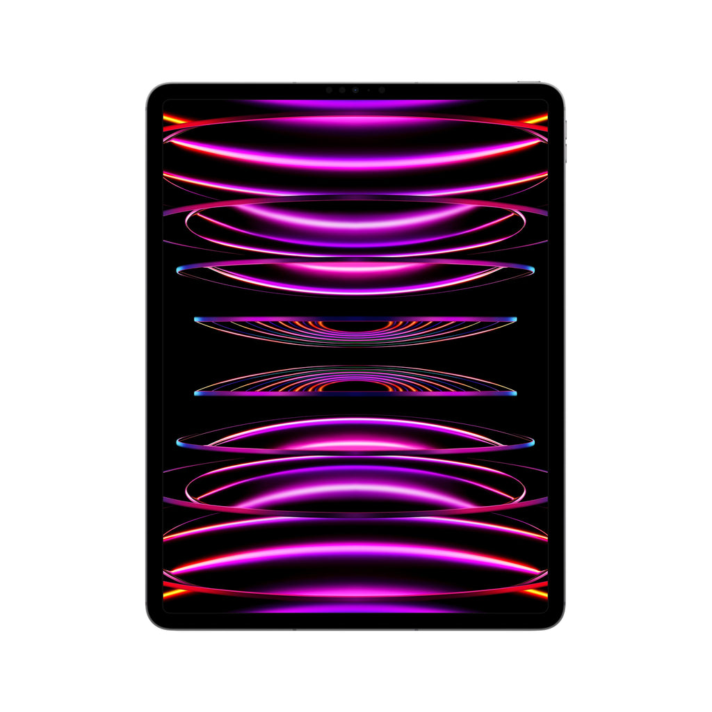 2022 12.9-inch iPad Pro Wi-Fi + Cellular 256GB - Space Grey (6th generation)